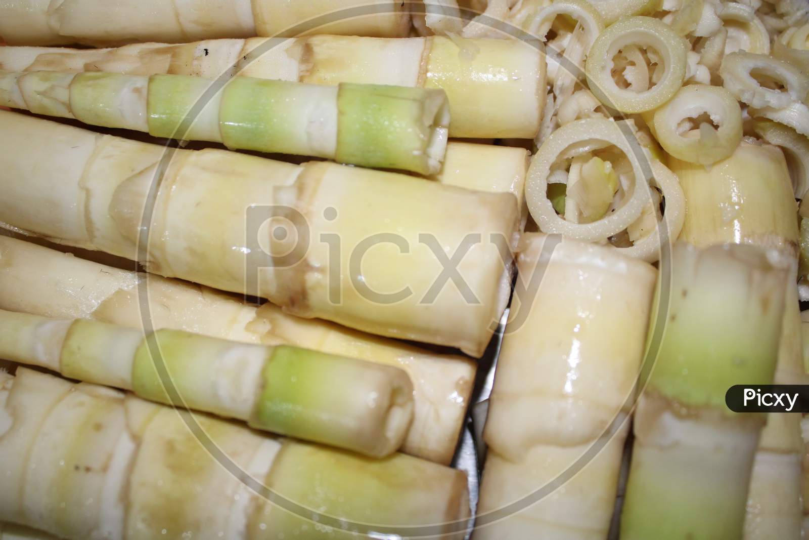Fresh and nutritious Bamboo shoots stock images
