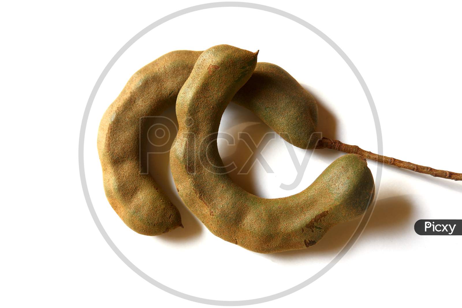 Top Shot Of Fresh Tamarind Nuts Isolated On White Surface