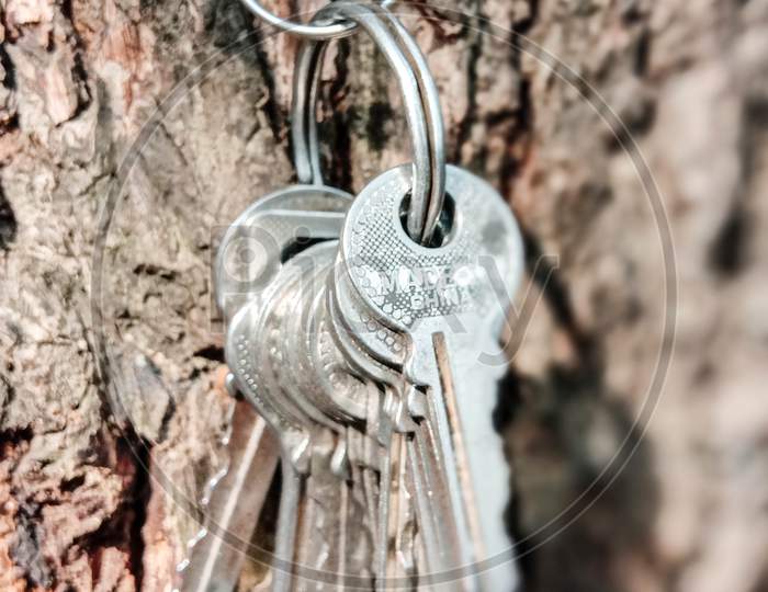 Key Stock With Ring With Tree