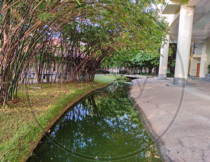 Artificial mini river like canal , go green theme