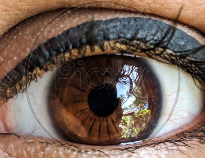 Extreme Close-Up Photo Of Indian Woman'S Eye