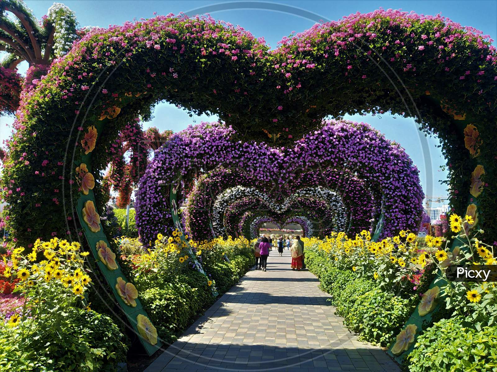 Heart Shaped Flower Design At Dubai Miracle Garden
