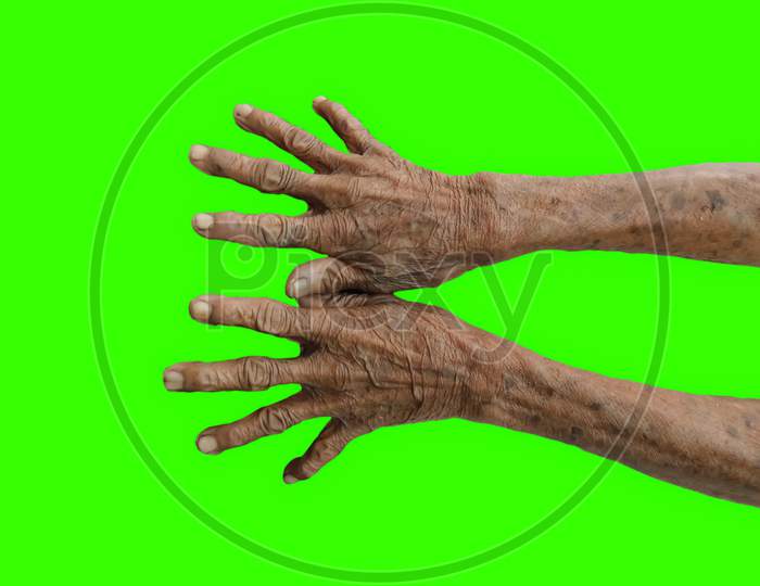 Closeup Of An Old Women'S Hands Isolated On Green Background