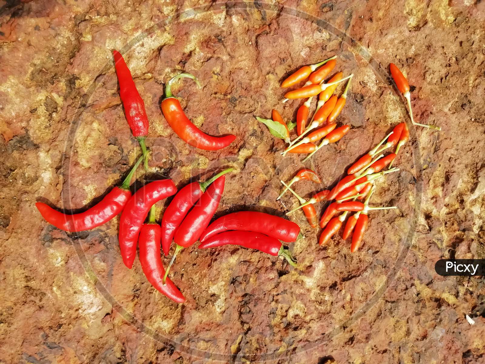 Closeup Of Red Chili Peppers Isolated On An Earth Surface