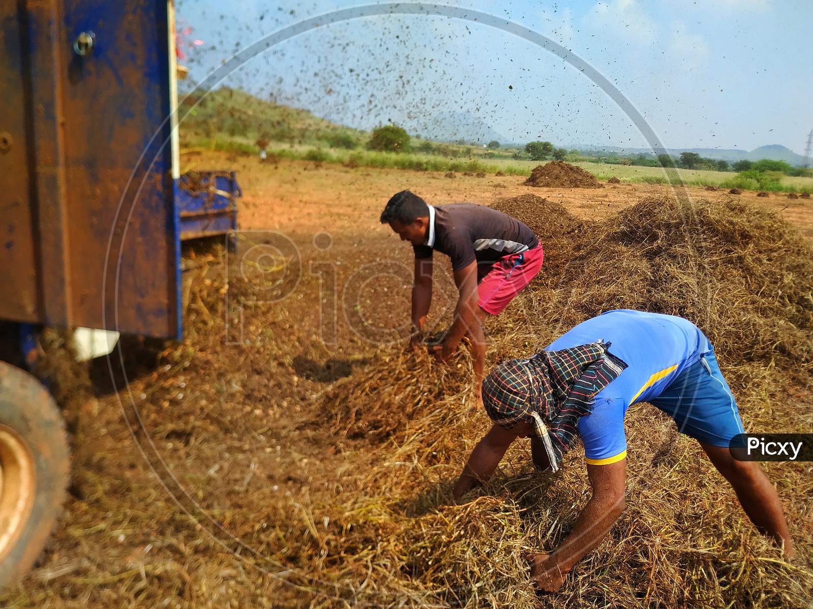 Farmers work in agriculture filed