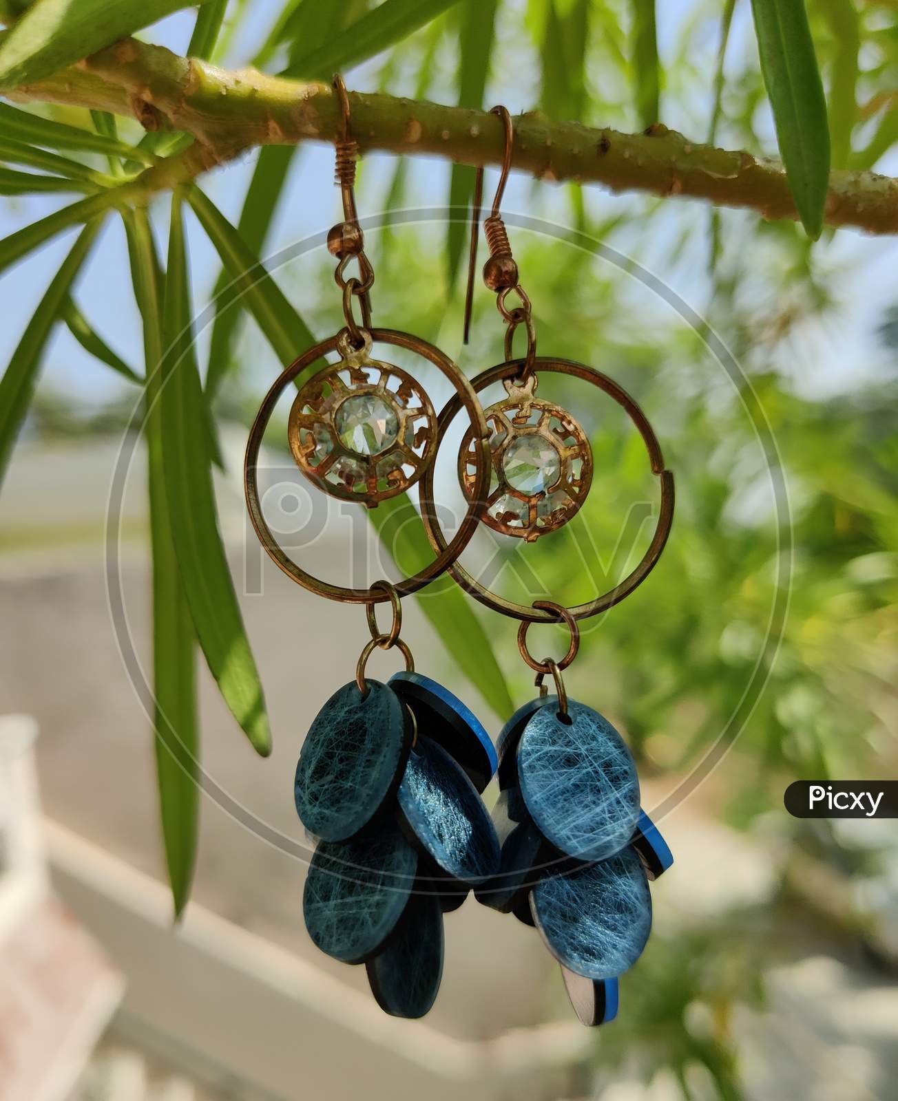 Earrings hanging on tree