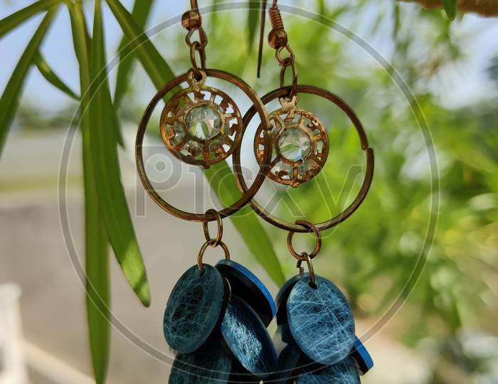 Earrings hanging on tree