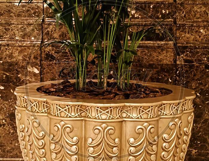 Golden Vase With A Plant At Emirates Palace