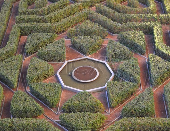 Green geometric garden