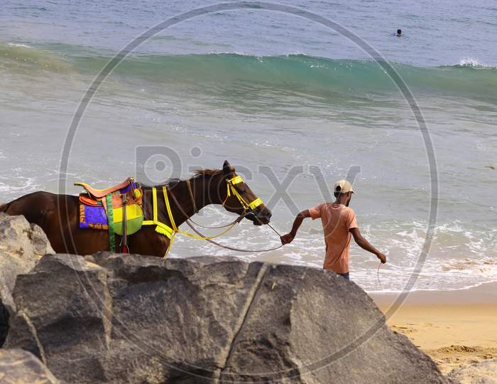 A Boy Wanders Near The Beach In Search Of A Horse Riding