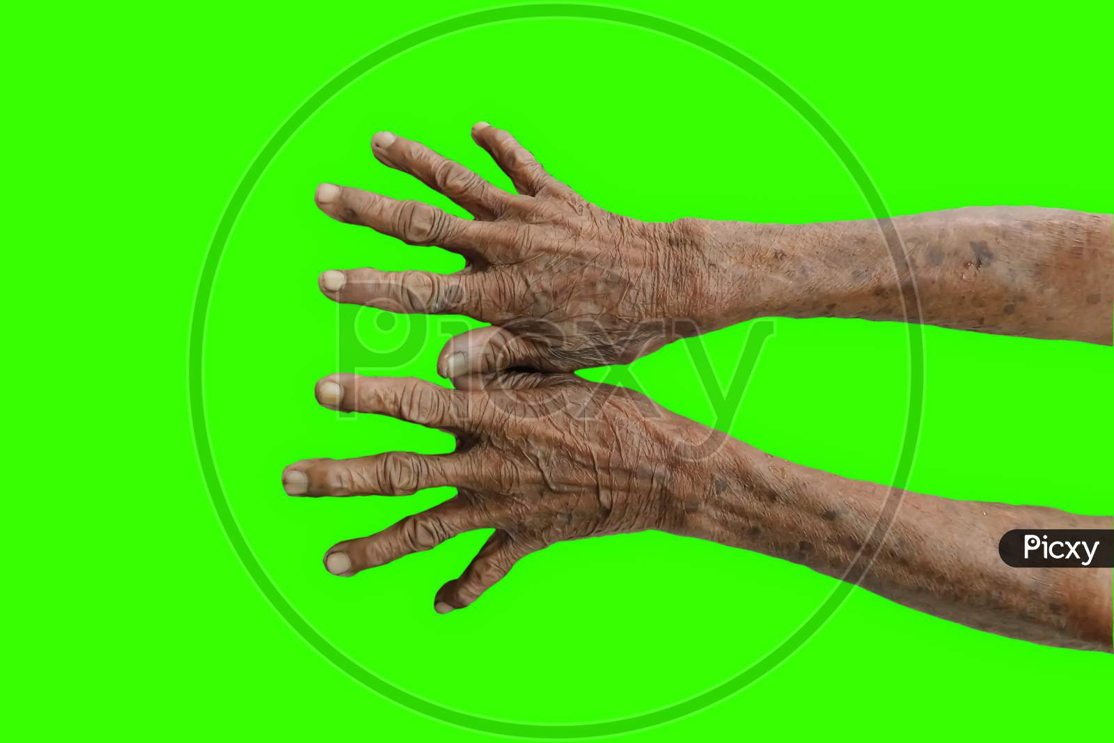 Closeup Of An Old Women'S Hands Isolated On Green Background