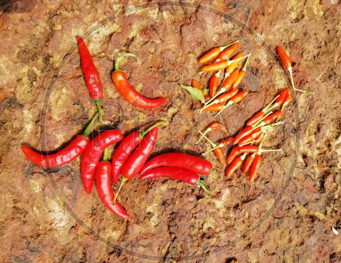 Closeup Of Red Chili Peppers Isolated On An Earth Surface