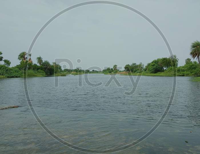 Greenary, Fresh water lake, Morning scenary, Telangana Rivers, Peddapalli