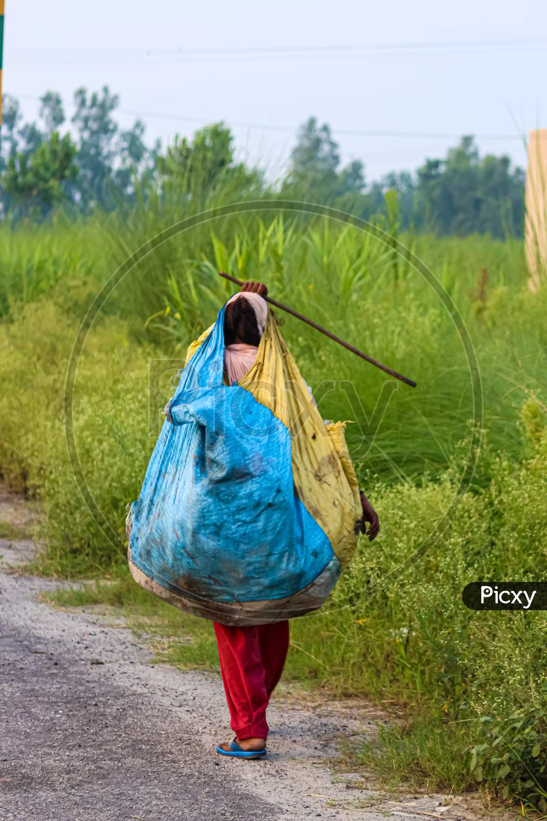 ragpicker women carrying the ragged plastic for recycle