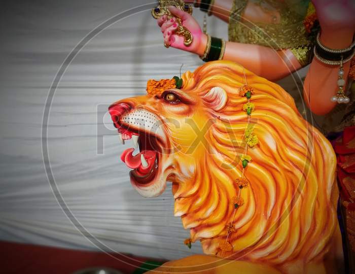 Lion #Navratri