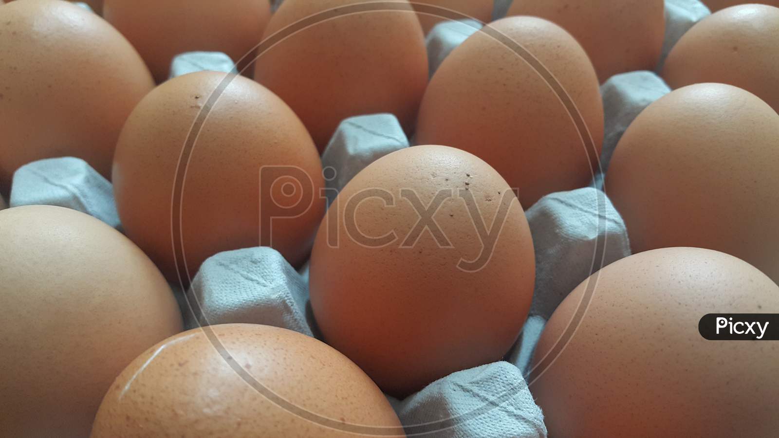 Fresh Farm Chicken Eggs In An Egg-Carton
