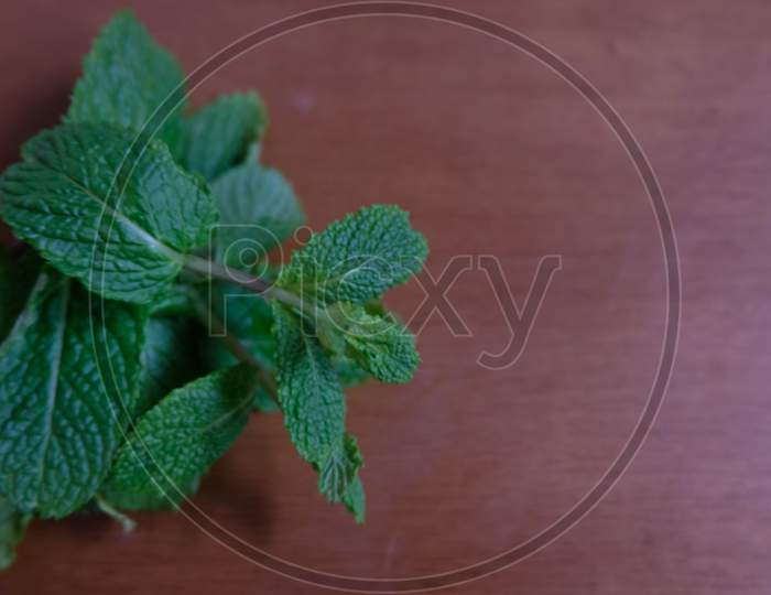 Bunch of mint leaves on a wooden table