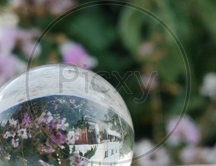 Glass ball and flowers