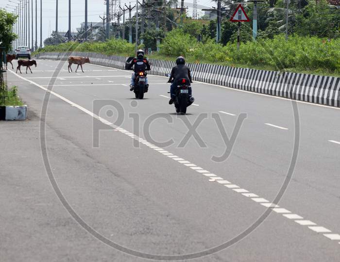 A Herd Of Cow Cattle Crossing The Road On National Highways