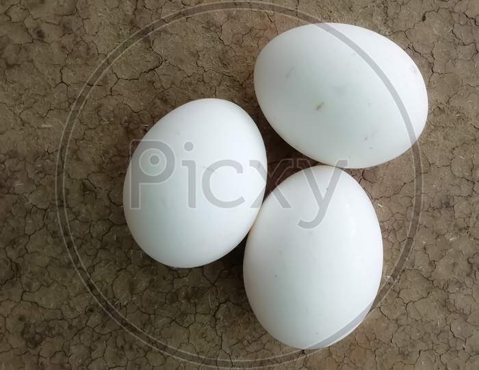 Closeup Of White Eggs Isolated On A Surface