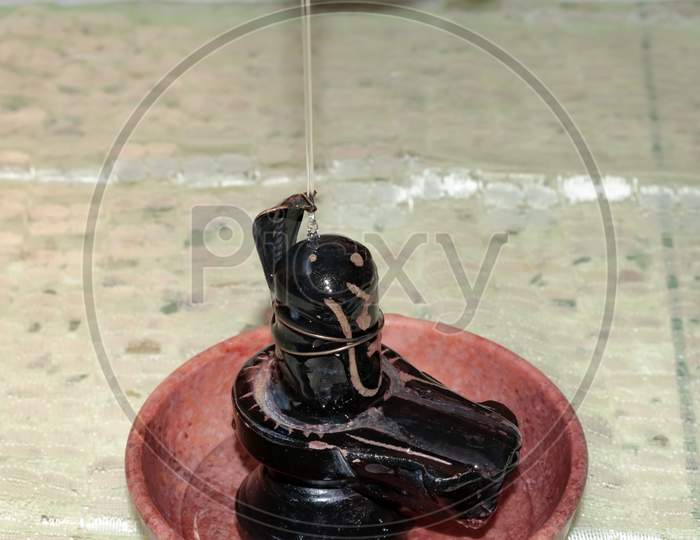 Stone replica of Hindu God Lord Shiva Shankara bathing with holy water snake hood on top