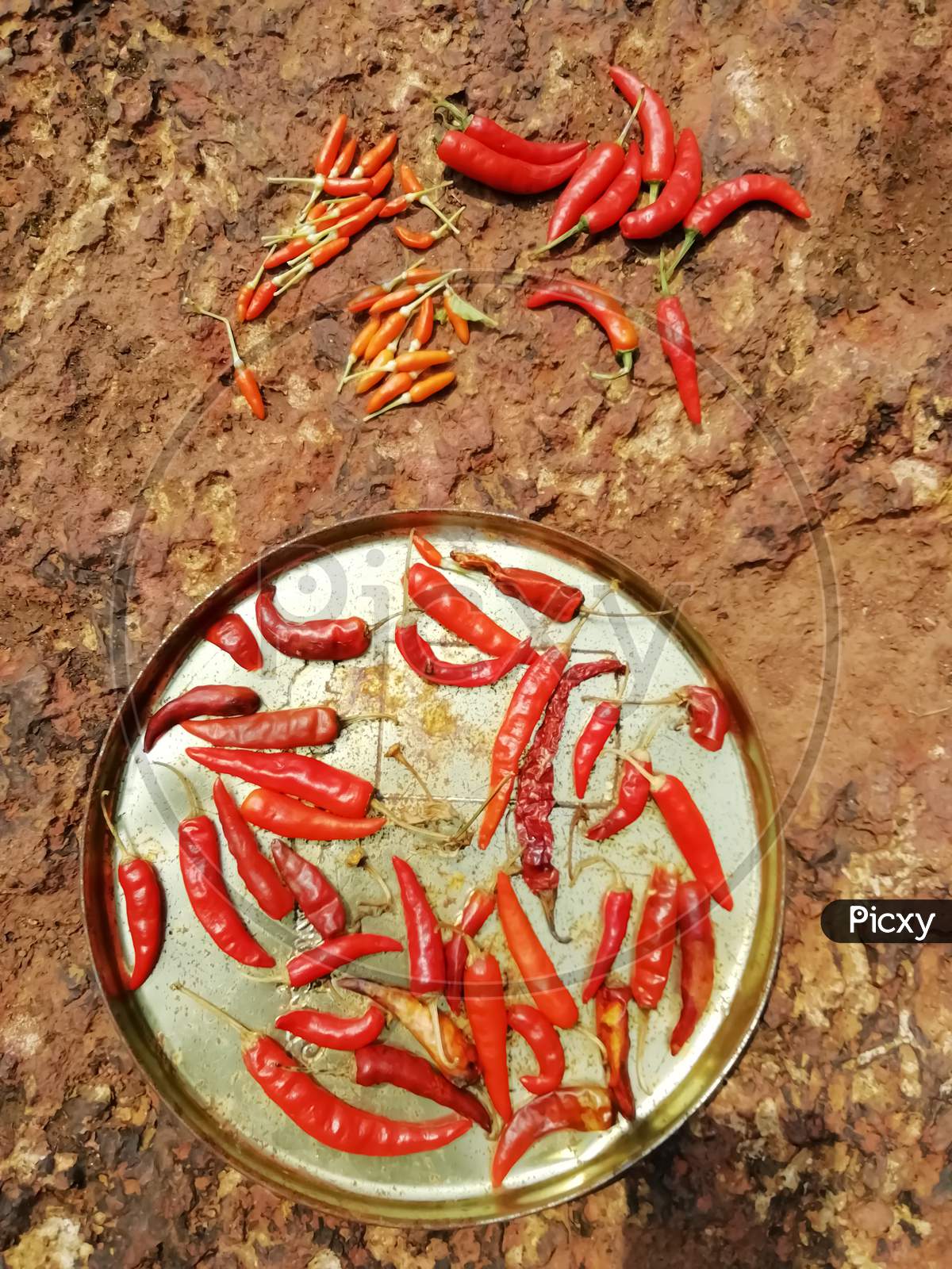 Closeup Of Red Chili Peppers Isolated