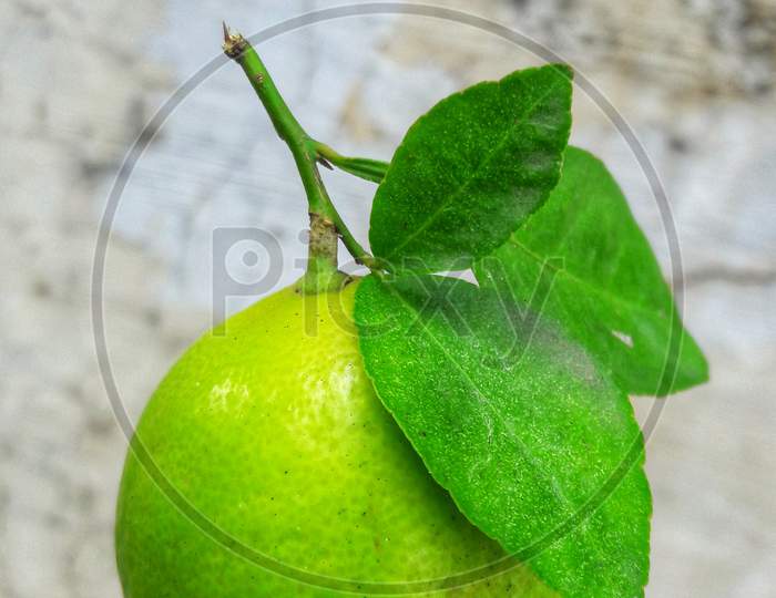 Lemon mobile Photography