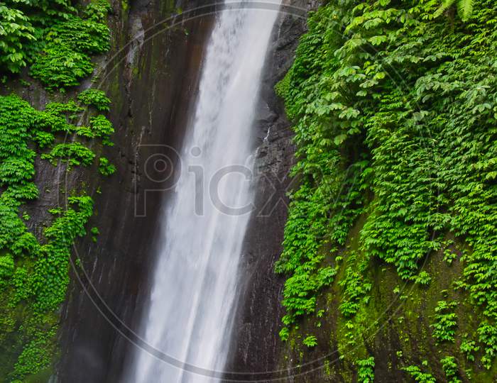 Waterfall From Bali