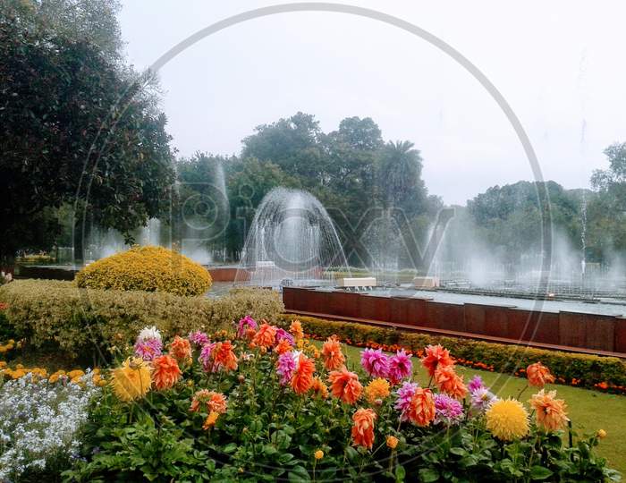 Mughal Garden flowers and water show