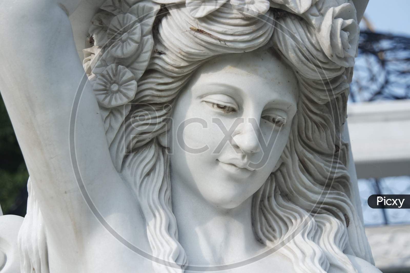 Statue Of Greek Goddess Head With Lovely Hair Settled In A Public Park