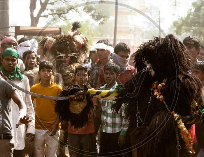 The children of india are dressed in a lion,it called moharram.
