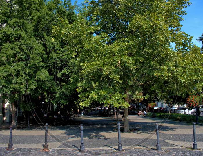 Lovey park in Bratislava in Slovakia 11.9.2020
