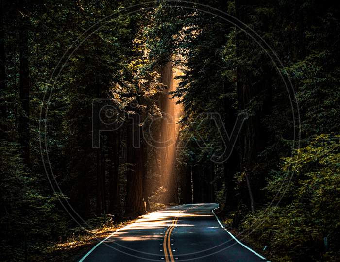 Nature Road / sun light