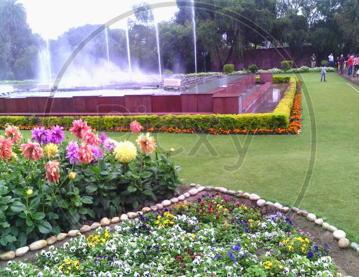 Mughal Garden flowers