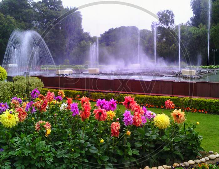 Mughal Garden flowers and water show