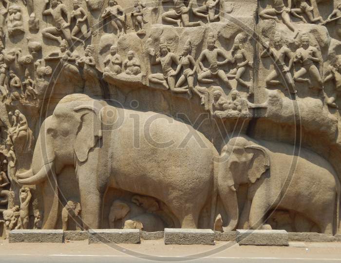 Elephant Reliefs At Mahabalipuram