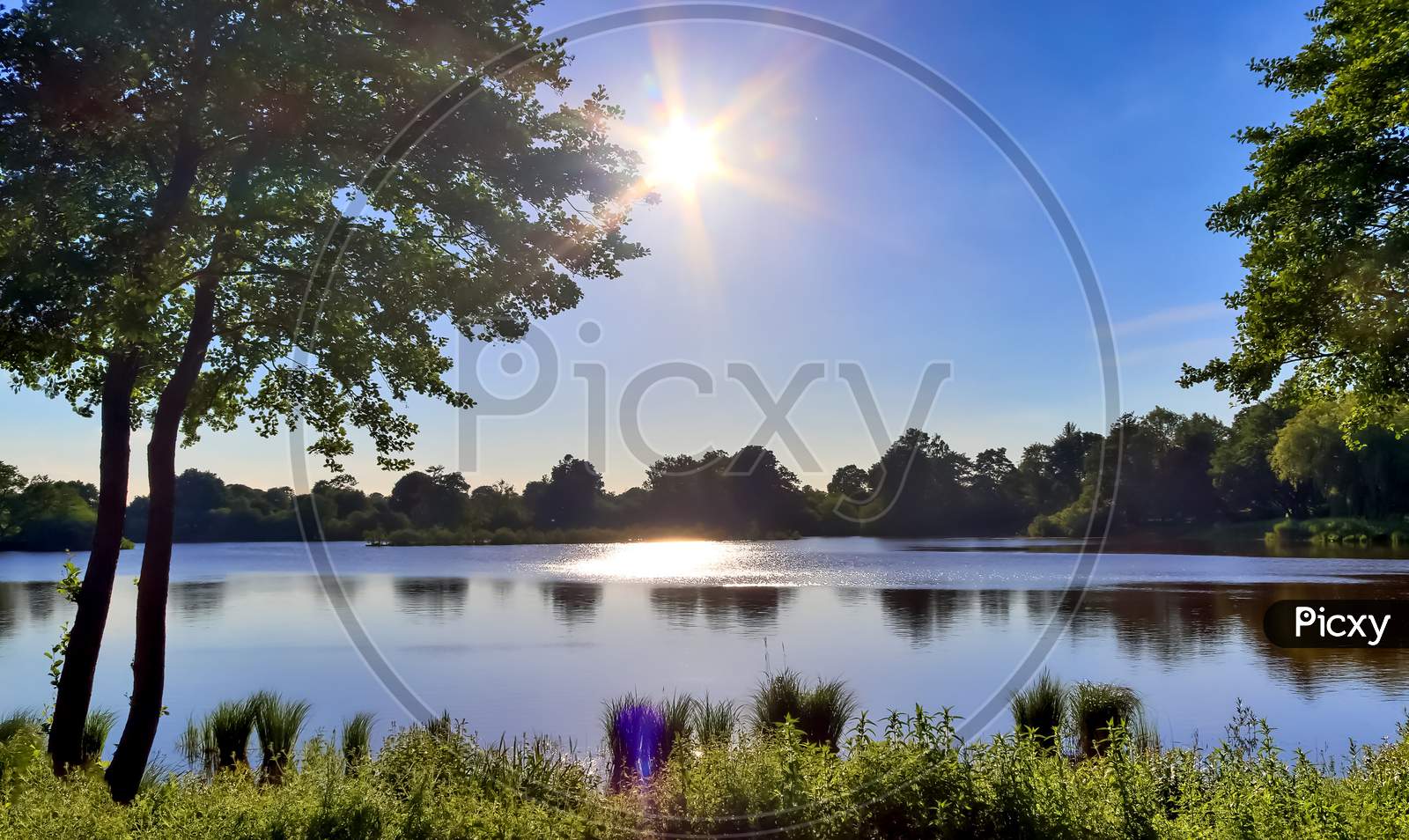 Beautiful Sunny Landscape At A Lake With A Reflective Water Surface.