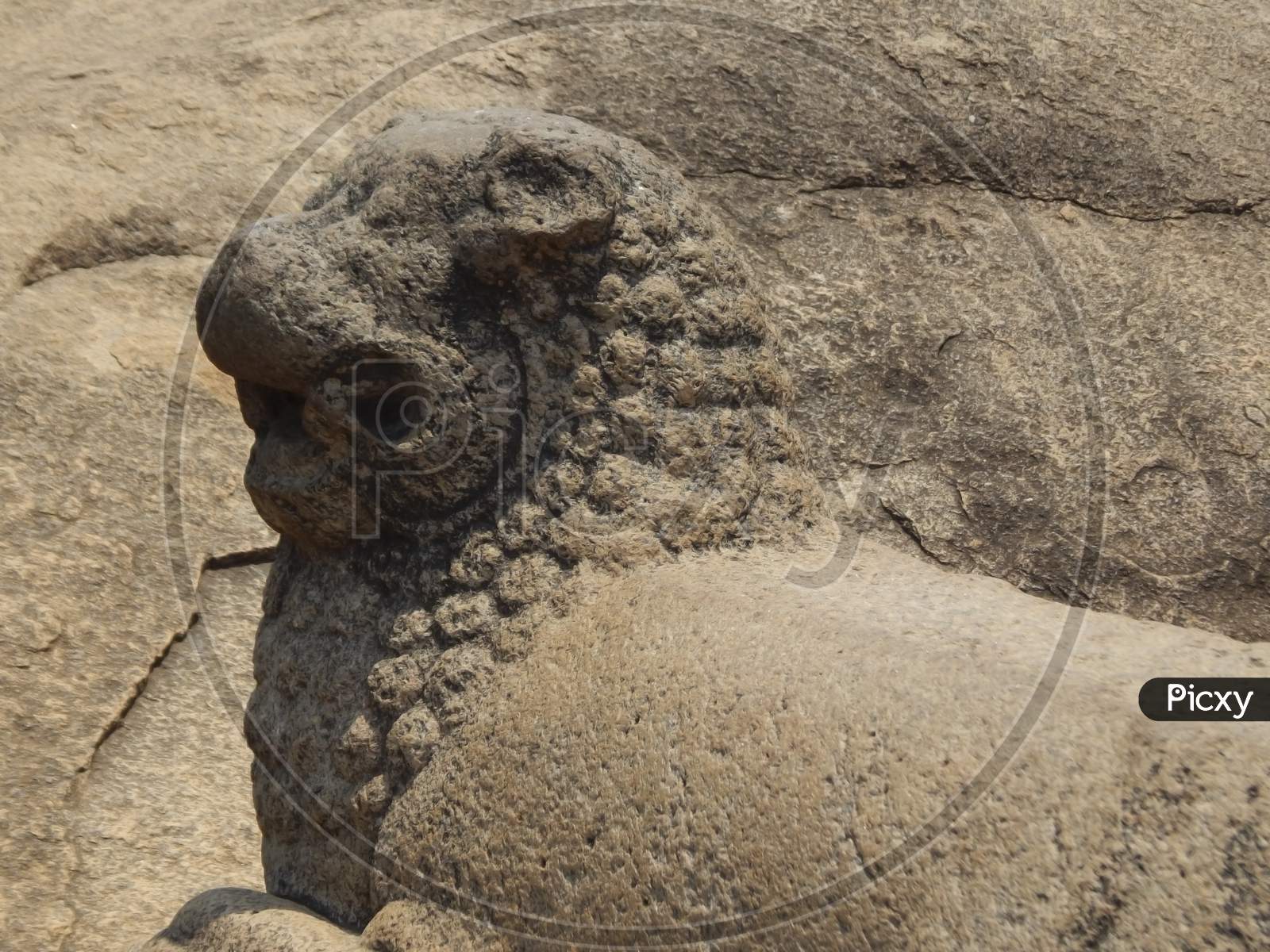 Lion Sculpture, Stone Carving