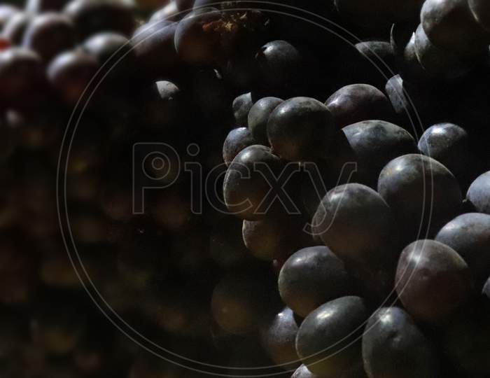 black grapes.
