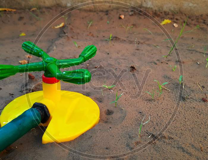Small Plastic Sprinkler For Irrigation Of Sprouts In Garden