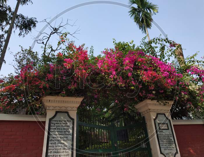 Sarat Chandra Bose's beautiful home near Rupnarayana River,Deulti