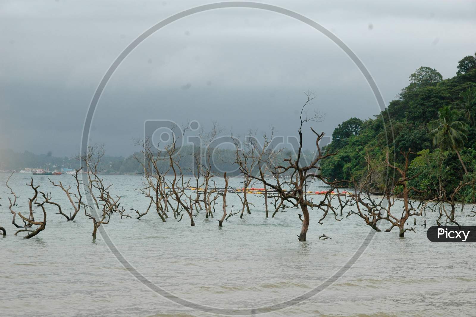 Tsunami 2004 Rehabilation For Andaman Islands