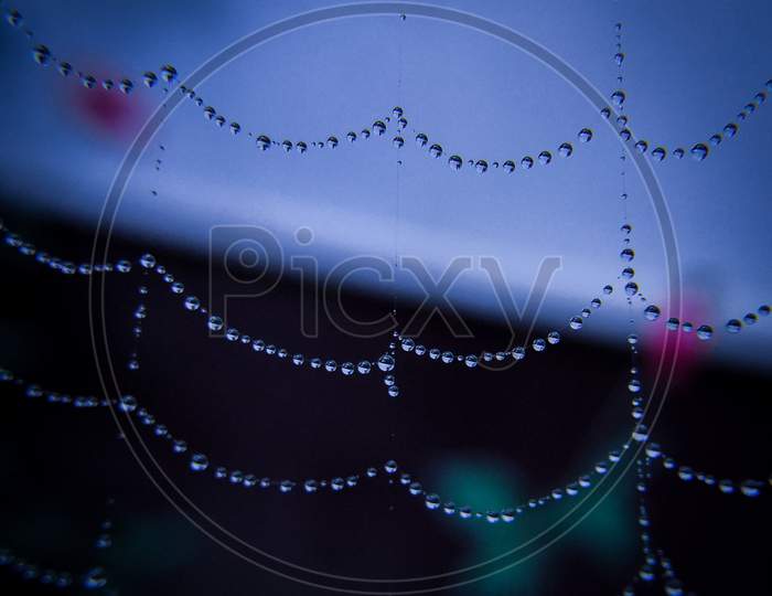 Pearls on the spider net