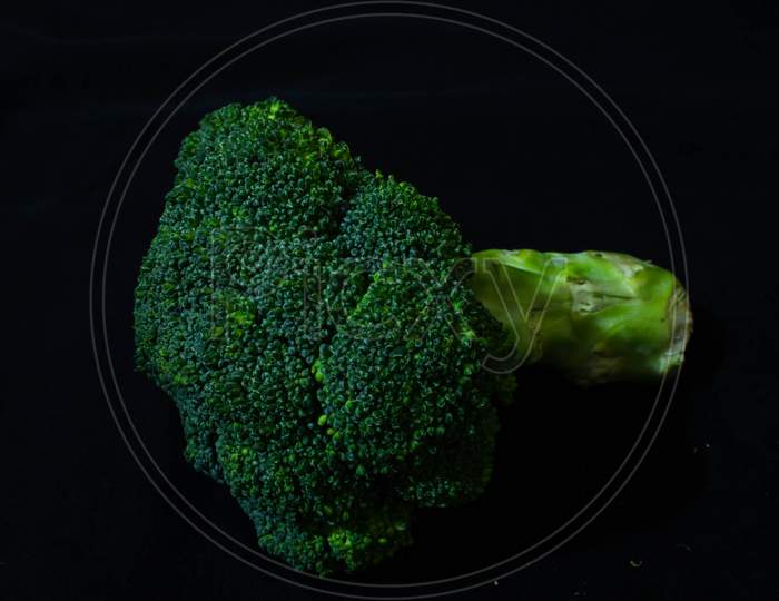 Broccoli floret on black background