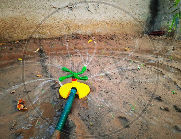 Small Plastic Sprinkler For Irrigation Of Sprouts In Garden