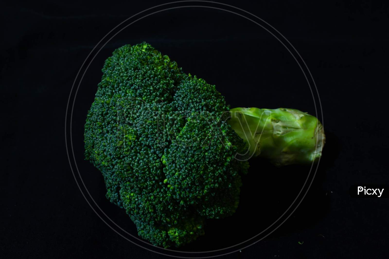Broccoli floret on black background