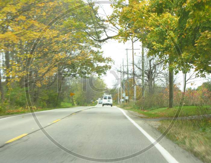 Maple tree on highway