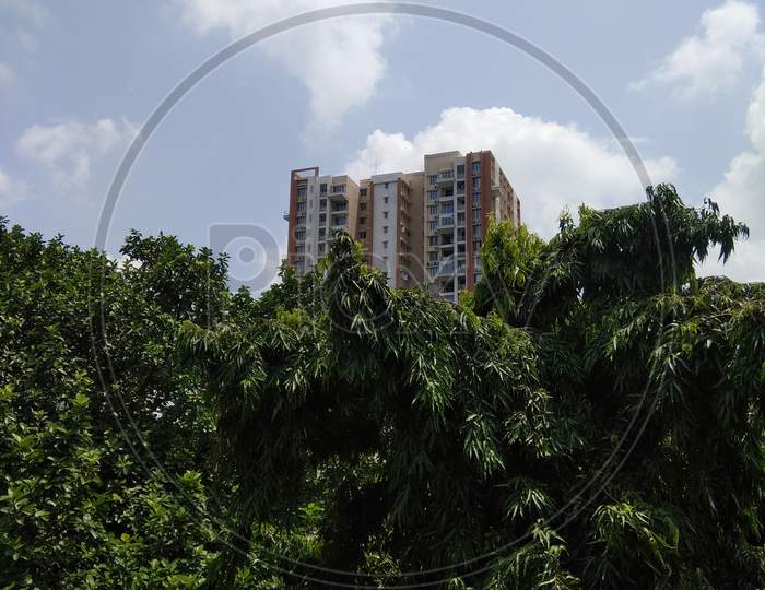 Tall residential building behind beautiful trees at a city,Kolkata