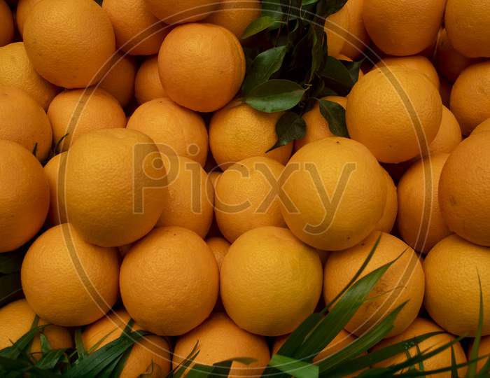 Malta Or Citrus Sinensis, A Popular Fruit