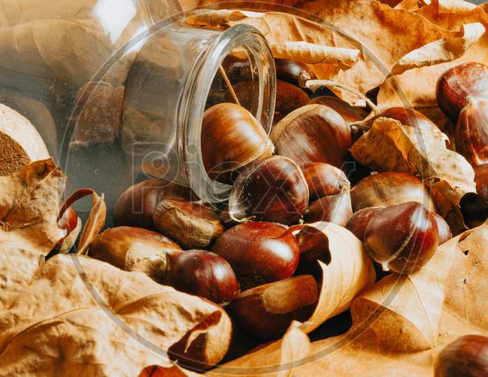 Autumnal Composition Of Some Chestnuts Over Some Fallen Leaves And A Crystal Bottle